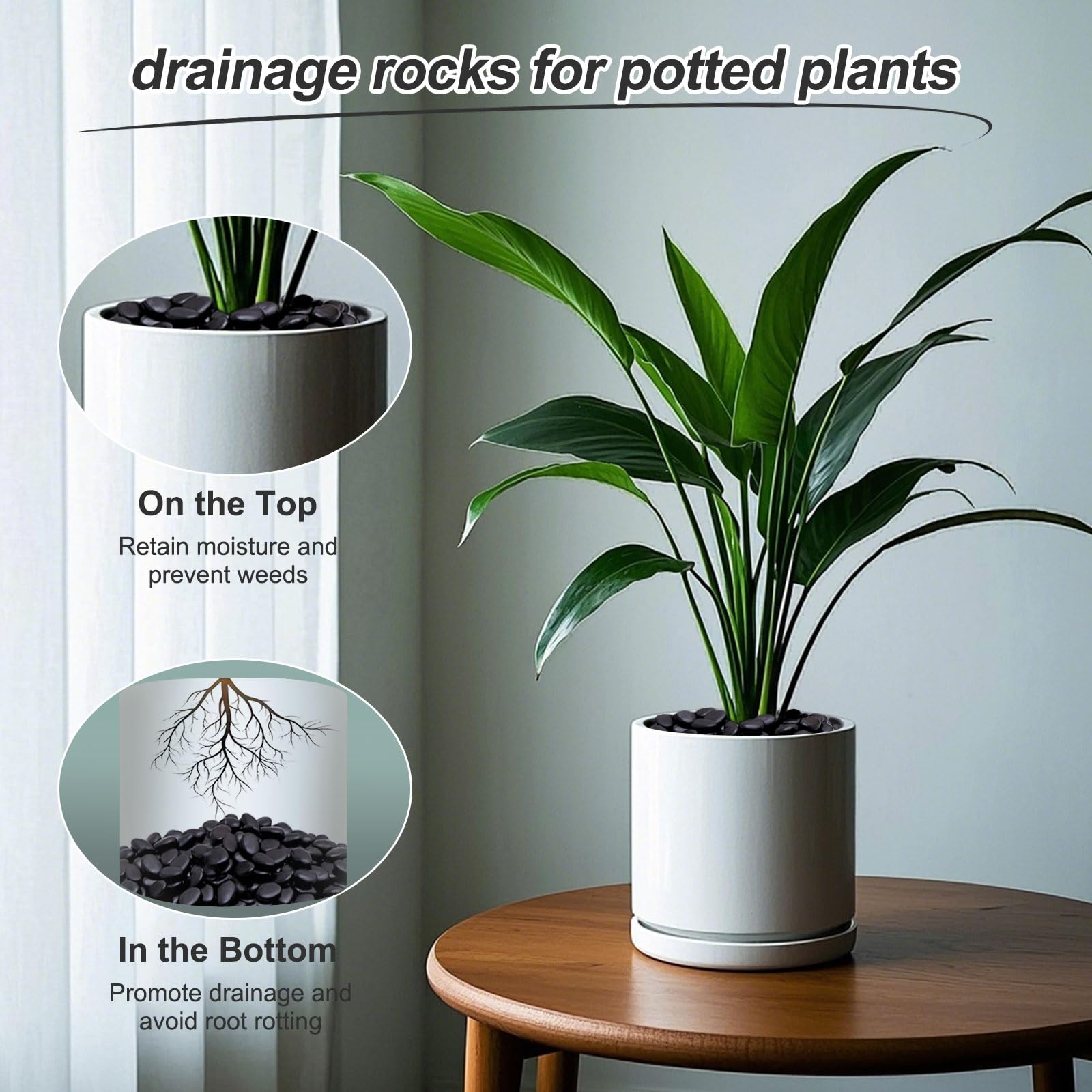 Calofulston stones in ceramic planter improving plant presentation and reducing soil mess