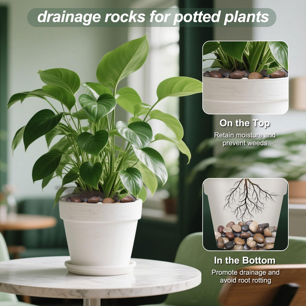Calofulston stones used in a plant pot providing clean topdressing