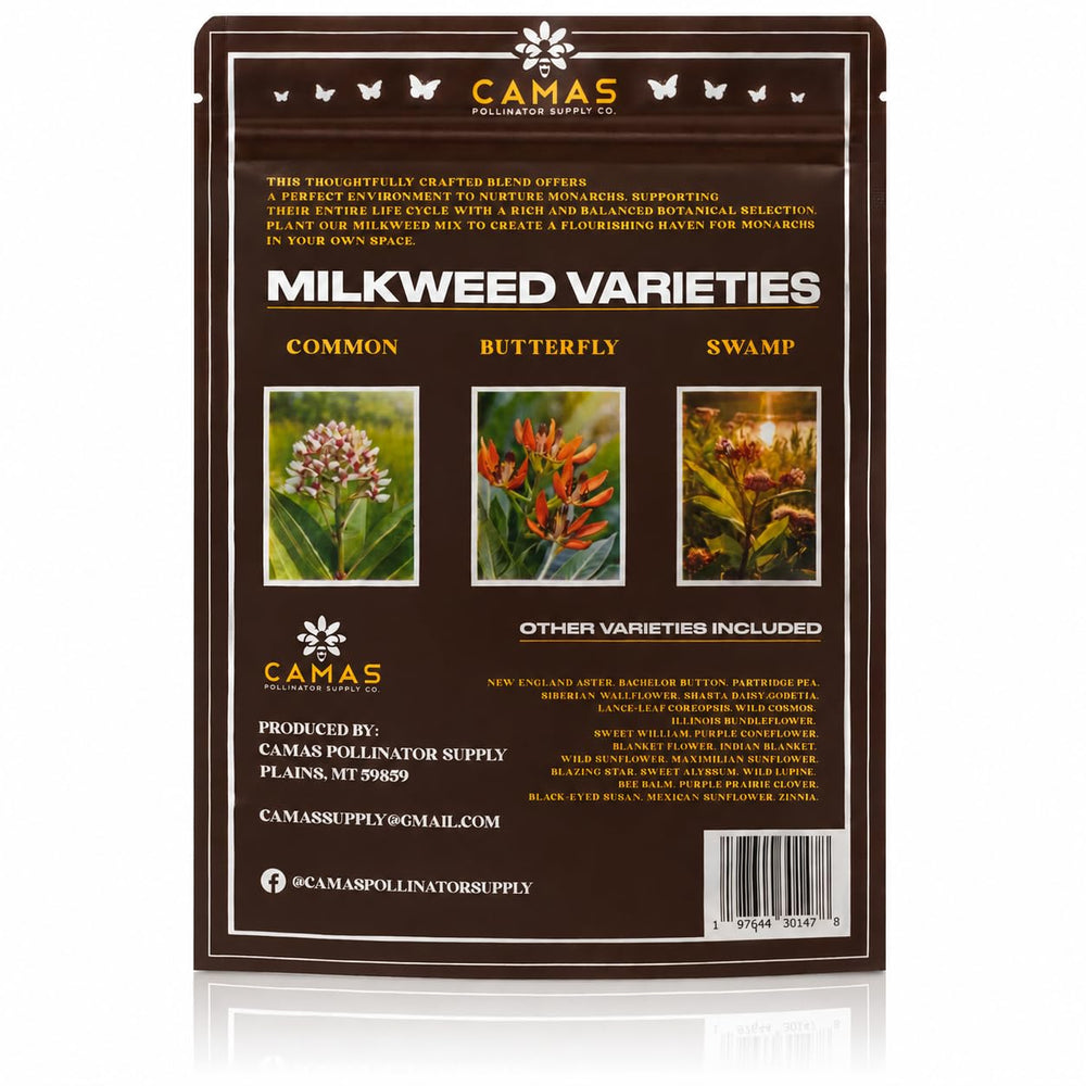 CAMAS POLLINATOR SUPPLY CO. young milkweed seedlings thriving in morning light