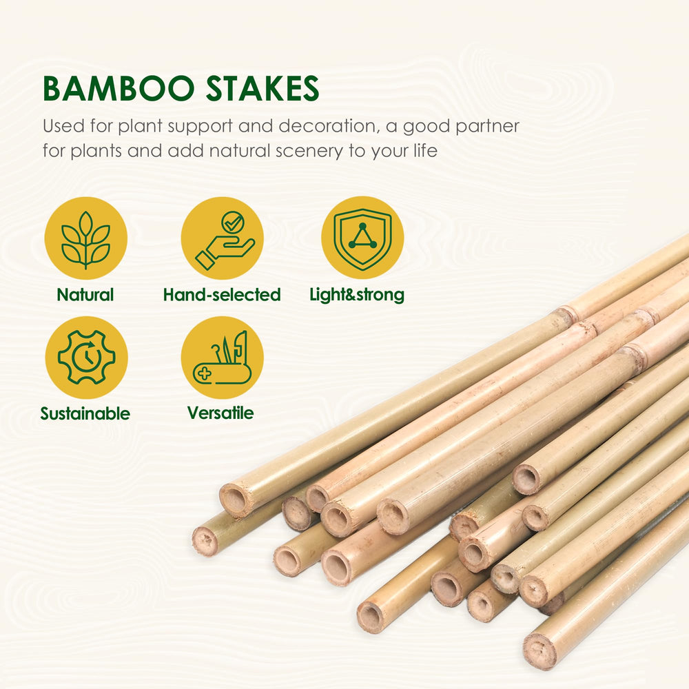 Cambaverd close-up grain texture of bamboo stake highlighting strength