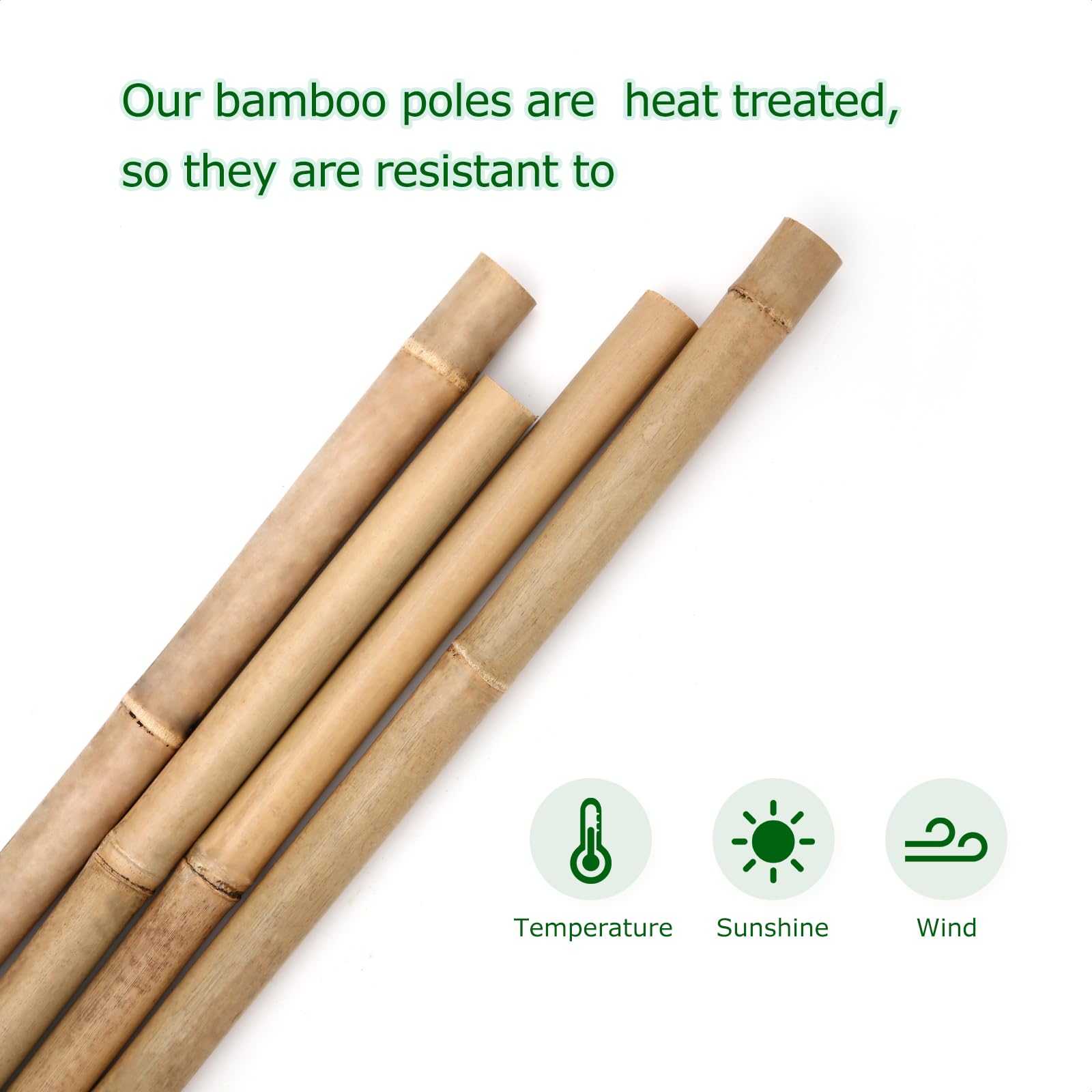 Cambaverd close-up of bamboo texture and node detail, durable natural surface benefit