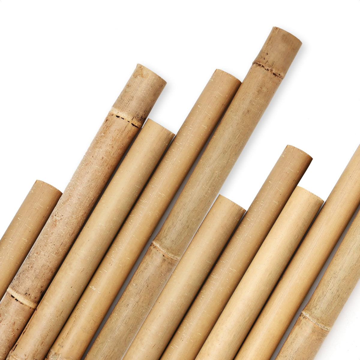 Cambaverd front view of 10-pack bamboo stakes showing length and count, sustainable support