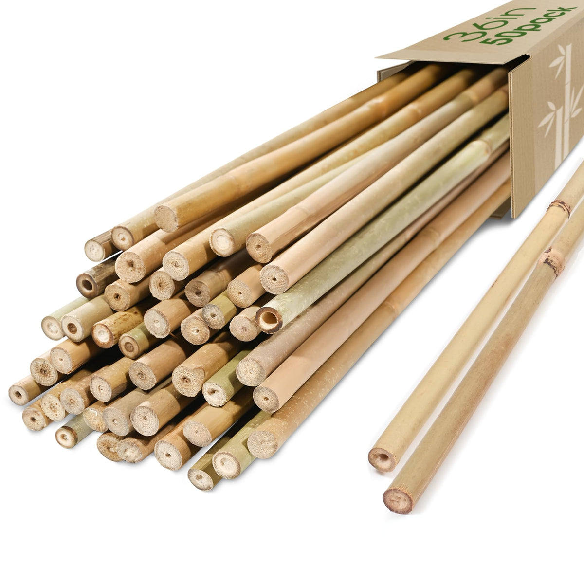 Cambaverd front packaging showing 50-pack stakes and clear product benefit