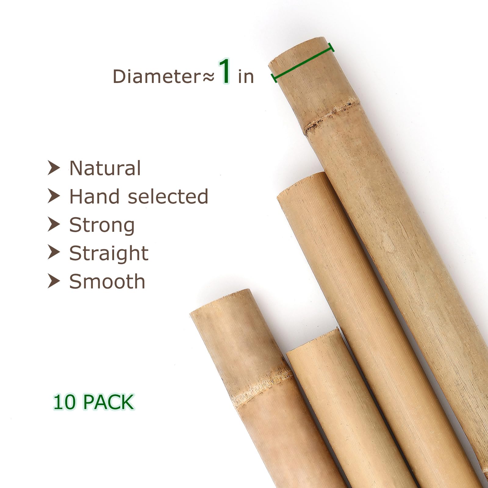 Cambaverd bamboo stakes installed vertically in garden, providing sturdy plant support