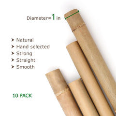 Cambaverd bamboo stakes installed vertically in garden, providing sturdy plant support