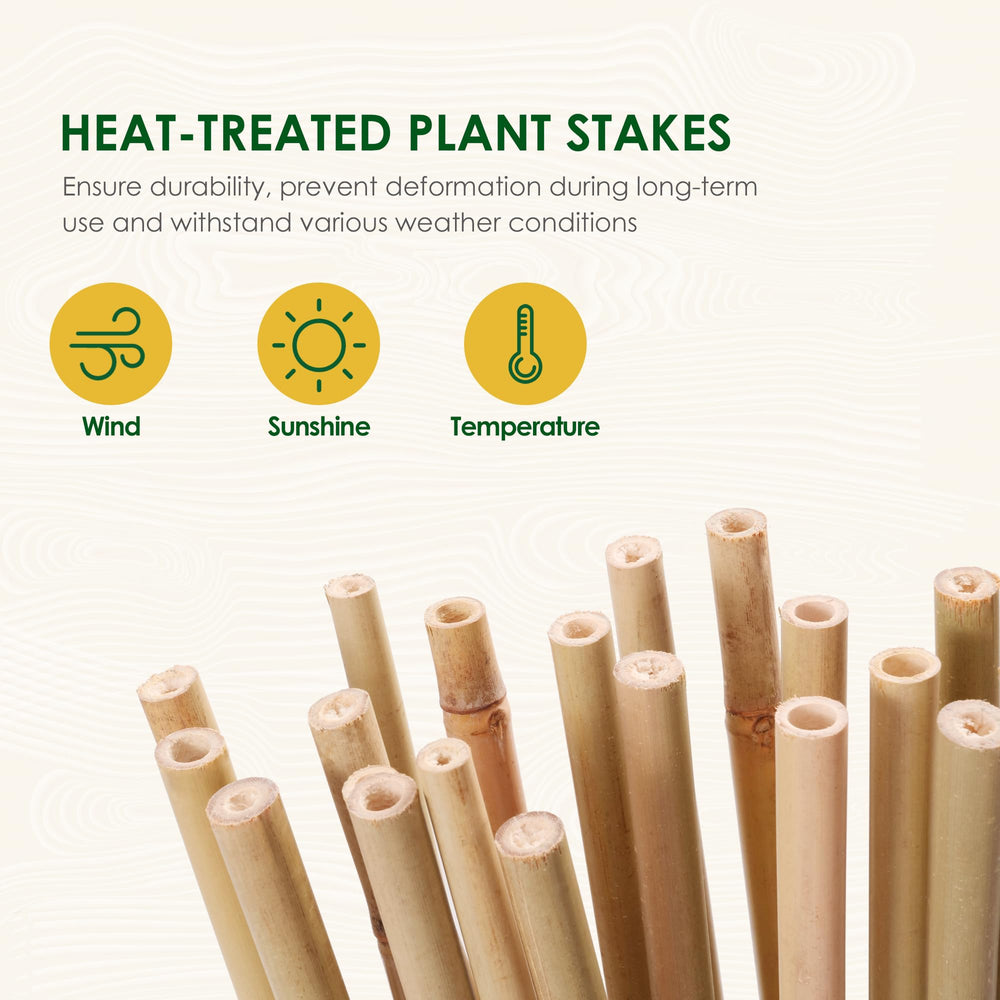 Cambaverd stakes in garden securing tall plants for healthier upright growth