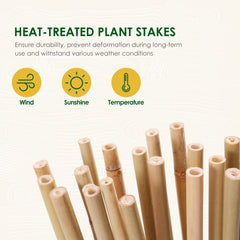 Cambaverd stakes supporting tomato plant demonstrating stable growth