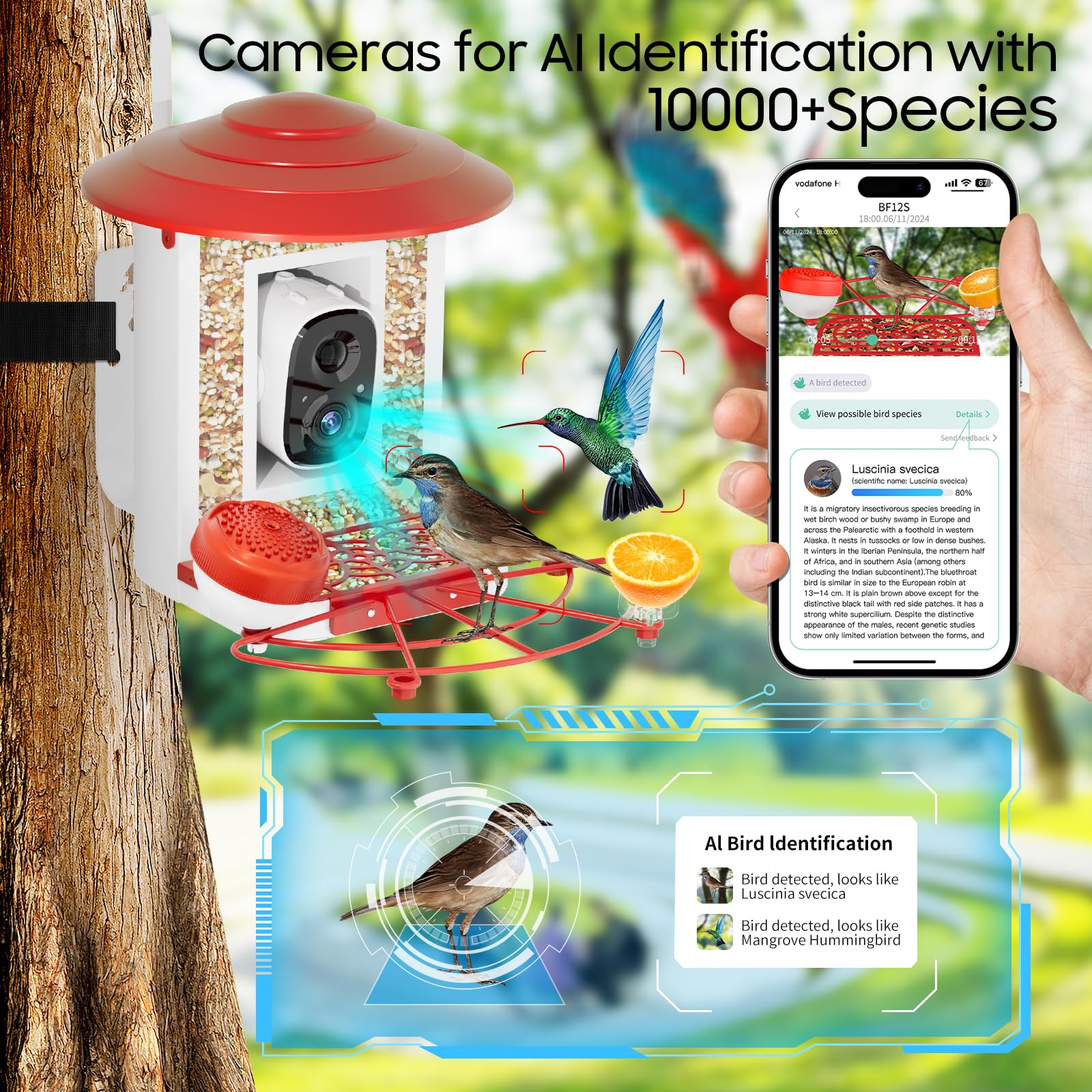 Camii close-up lens detail highlighting camera glass and AI-ready optics for clear shots