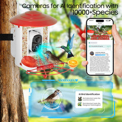 Camii close-up lens detail highlighting camera glass and AI-ready optics for clear shots