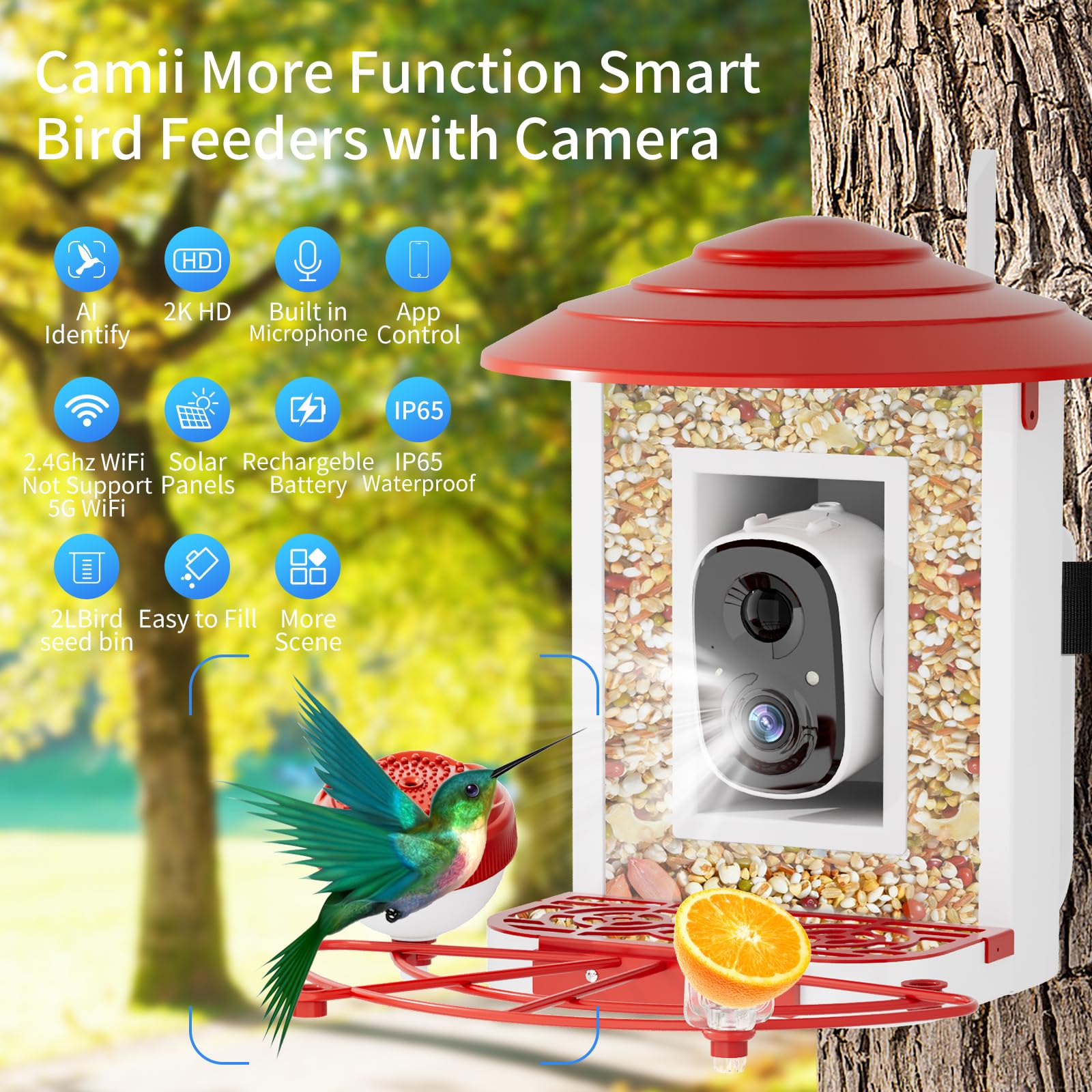 Camii lifestyle backyard setup showing the feeder attracting birds for family viewing