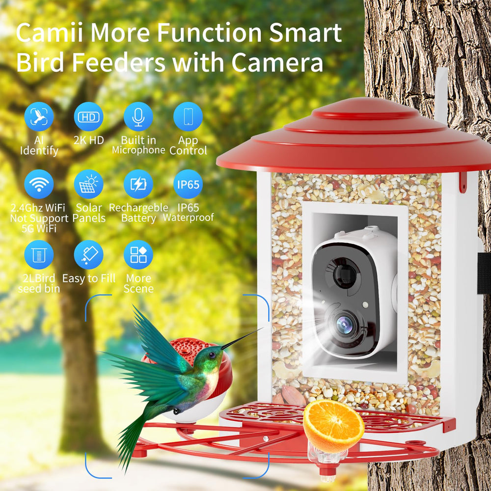 Camii lifestyle backyard setup showing the feeder attracting birds for family viewing