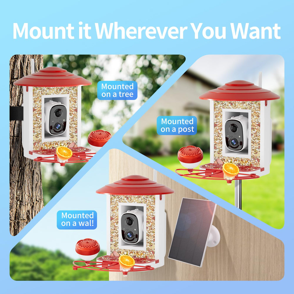 Camii mobile notification screenshot showing instant bird arrival alerts and snapshots