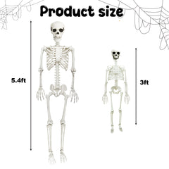 CAMIRUS 5.4ft skeleton full body front view offering dramatic yard focal point