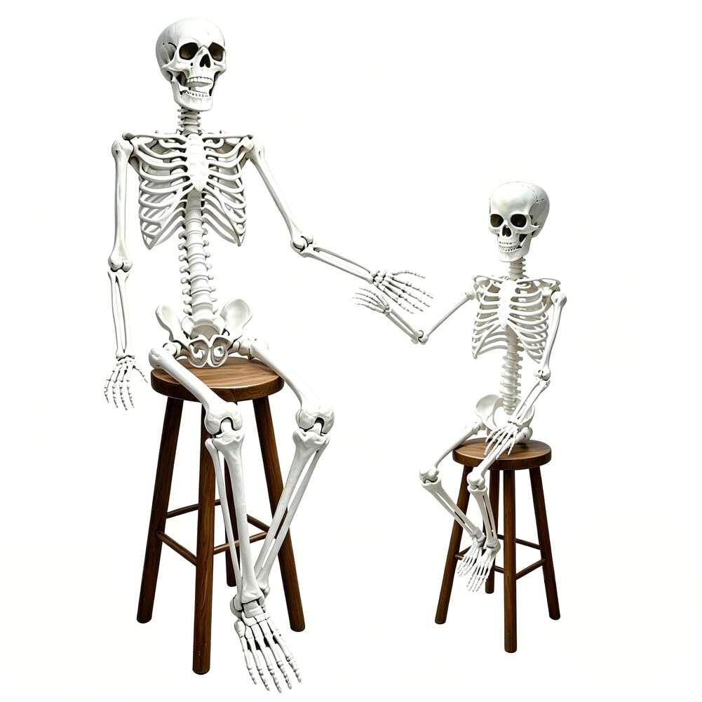 CAMIRUS front packaging showing both skeletons for easy setup and value