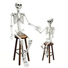CAMIRUS front packaging showing both skeletons for easy setup and value