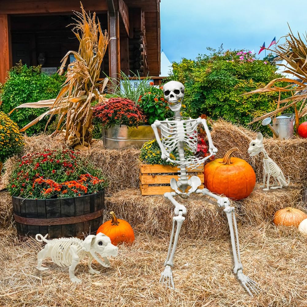 CAMIRUS skeleton folded flat for compact storage and easy off-season handling