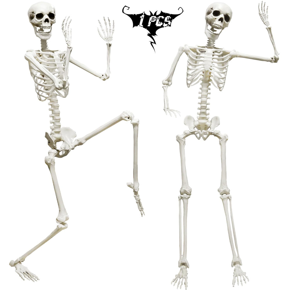 CAMIRUS full front view life-size skeleton showing realistic bone detail and easy display