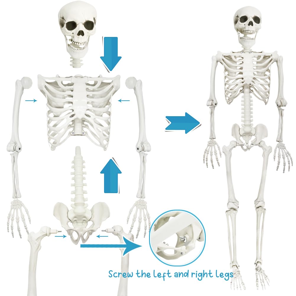 CAMIRUS skeleton hung from a tree creating a spooky outdoor Halloween display