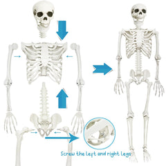 CAMIRUS skeleton hung from a tree creating a spooky outdoor Halloween display