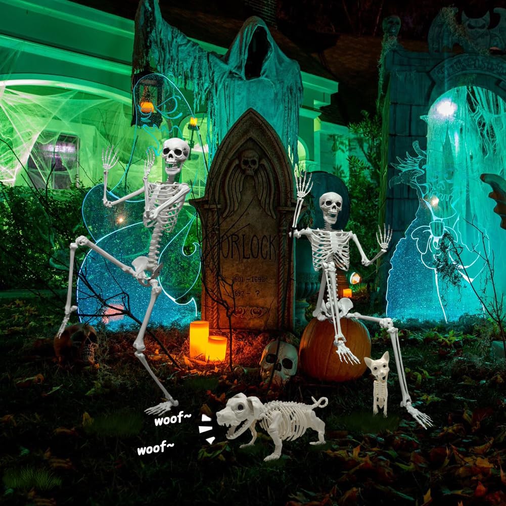 CAMIRUS skeleton next to chair showing scale for planning yard and indoor placement