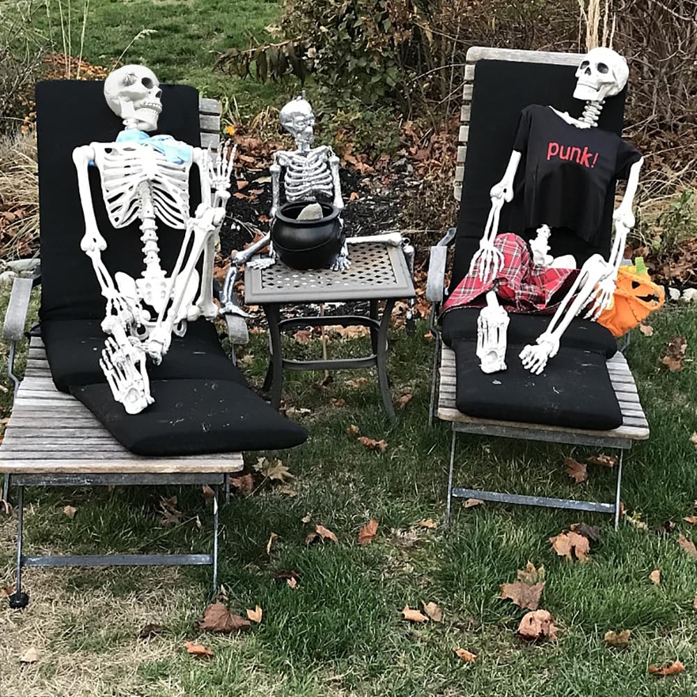 CAMIRUS skeleton next to a chair demonstrating 5.9ft scale for accurate size reference
