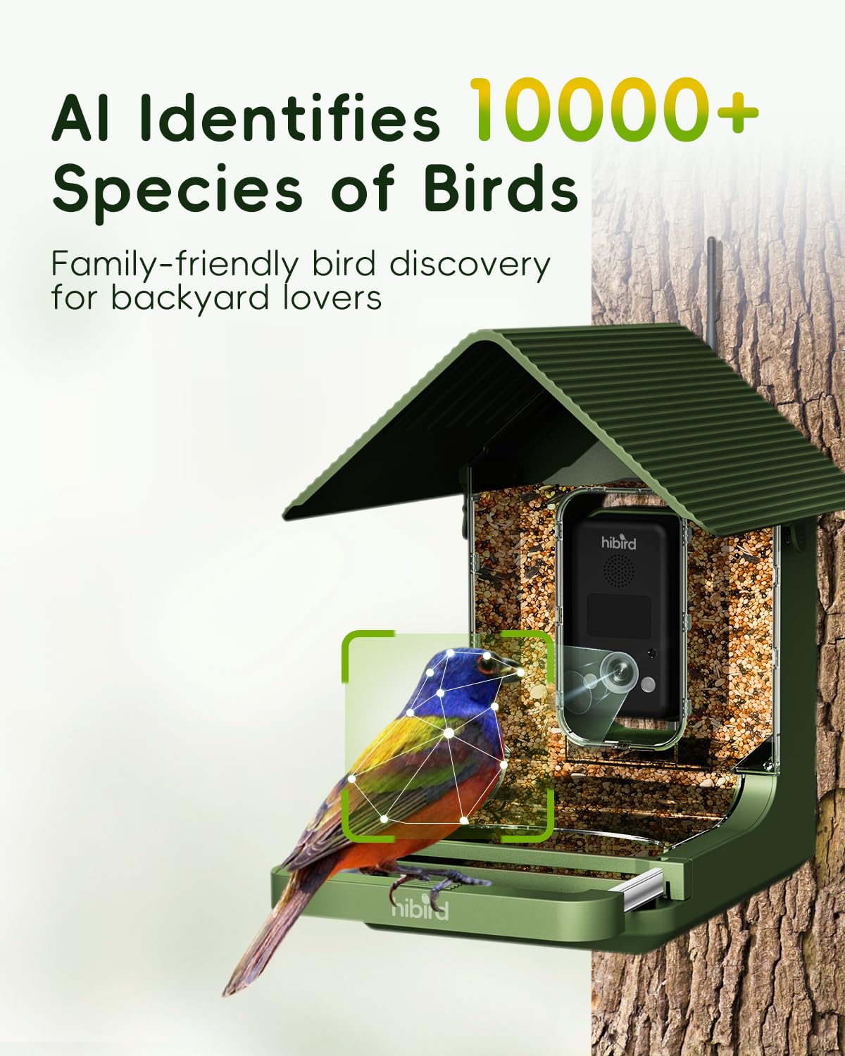 Camojojo Hibird live stream on phone app, easy remote viewing and family sharing