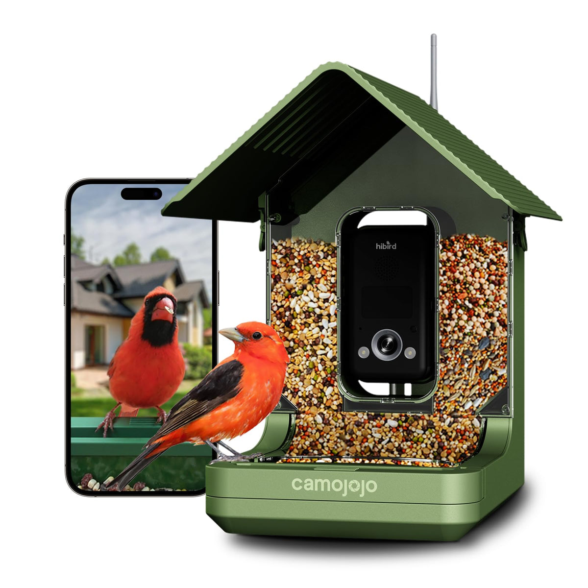 Camojojo Hibird front view showing camera and feeder, attractive backyard monitoring