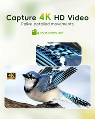 Camojojo Hibird close-up lens detail, high-resolution capture for sharp footage