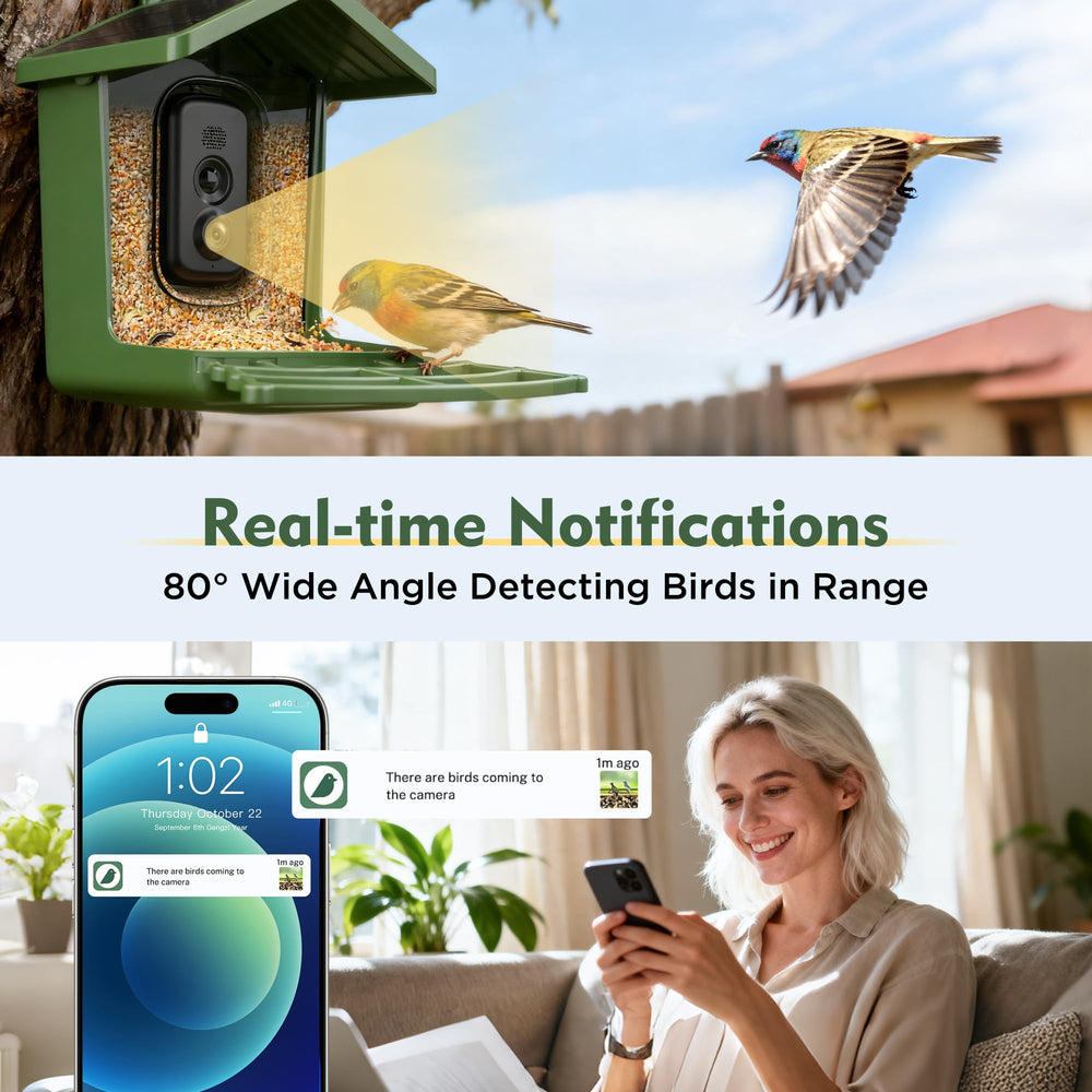 Camojojo Hibird live stream on phone showing remote viewing benefit