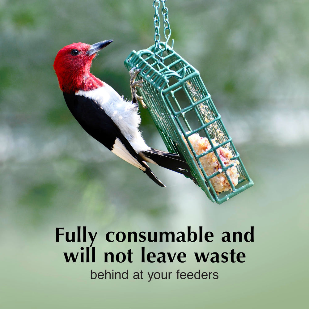C&S EZ Fill Deluxe mounted in yard attracting backyard birds