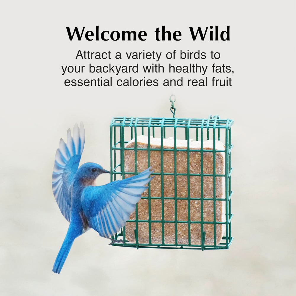 C&S EZ Fill Deluxe side perch closeup enabling stable bird access