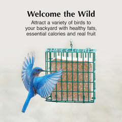 C&S EZ Fill Deluxe side perch closeup enabling stable bird access