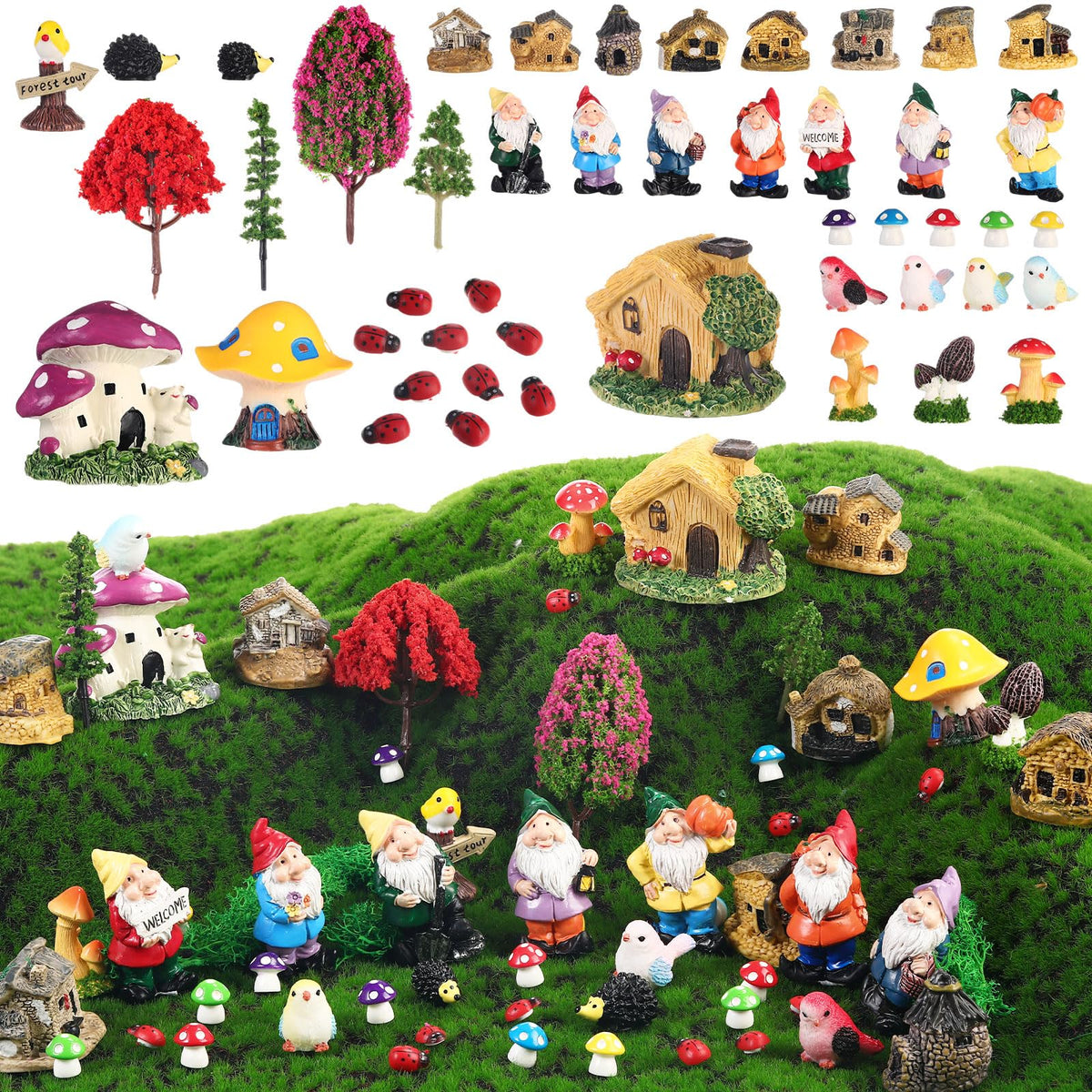 Canlierr front packaging showing full 58-piece kit and variety benefits