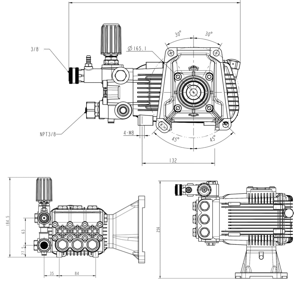 CANPUMP pump next to a ruler for scale to show compact footprint and mounting points