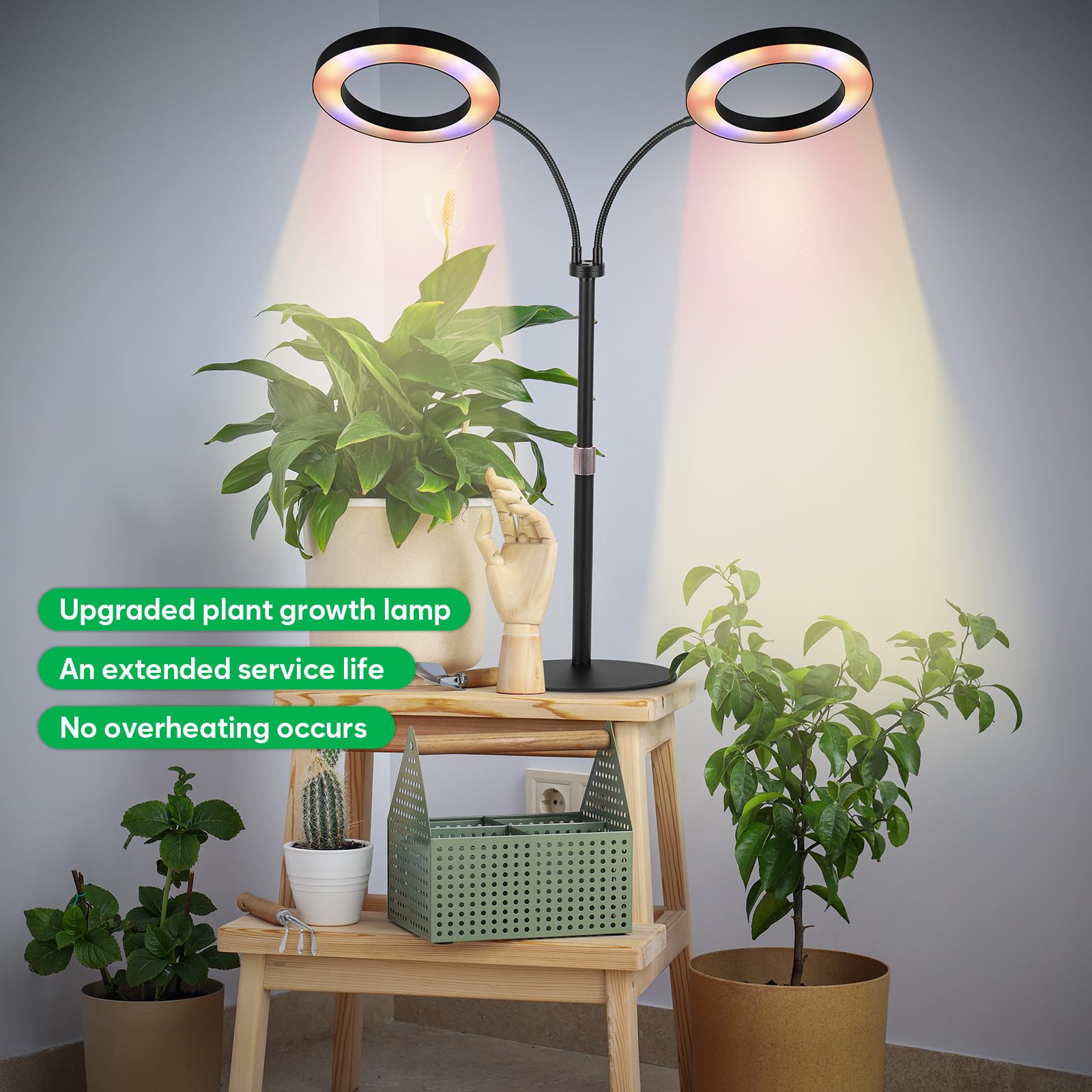 canvage illuminating a seedling tray, ensures even coverage across young plants