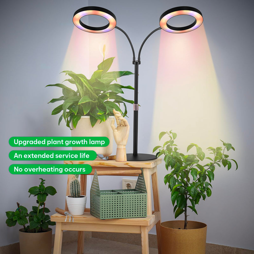 canvage illuminating a seedling tray, ensures even coverage across young plants