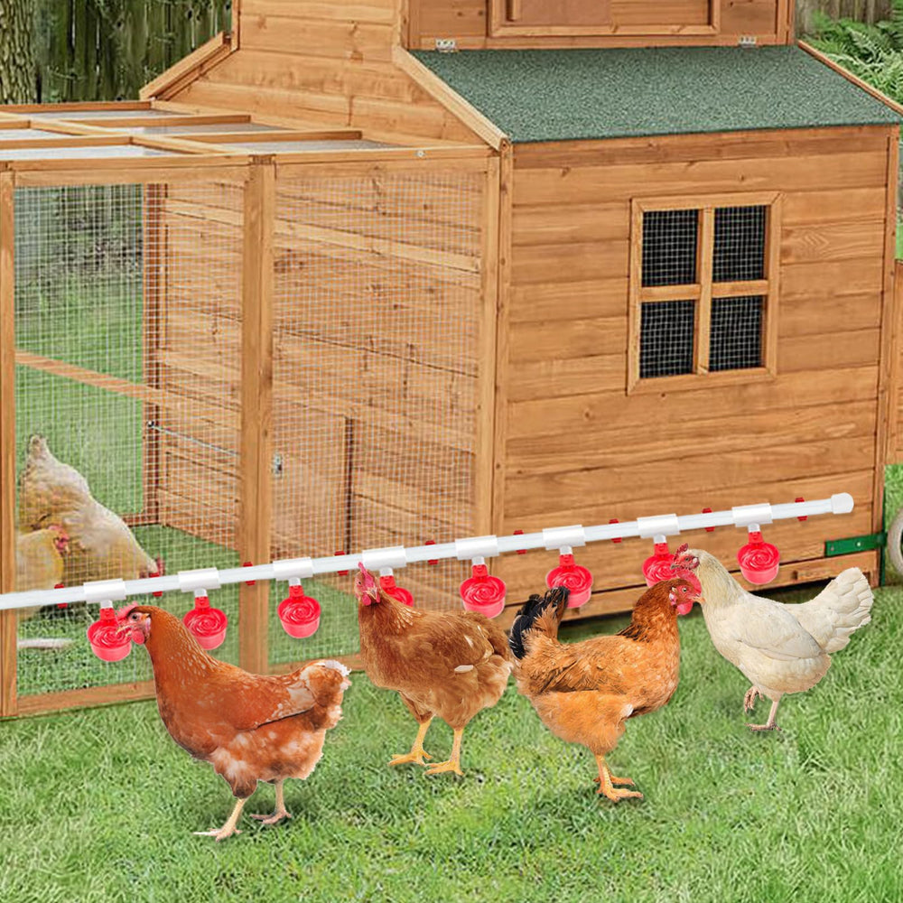 Canvino pipeline in a chicken coop showing tidy hydration and reduced chores