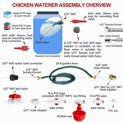Canvino detail of chicken drinking cup delivering clean accessible water