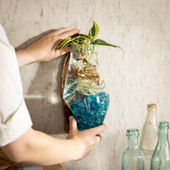 Cape Craftsmen terrarium in use with succulents demonstrating space-saving display