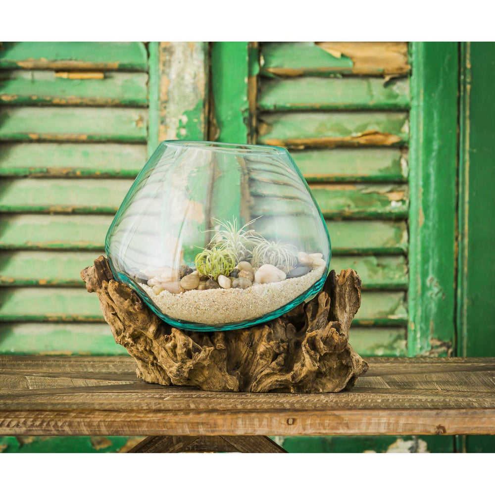 Cape Craftsmen succulent arrangement in bowl demonstrating attractive tabletop greenery