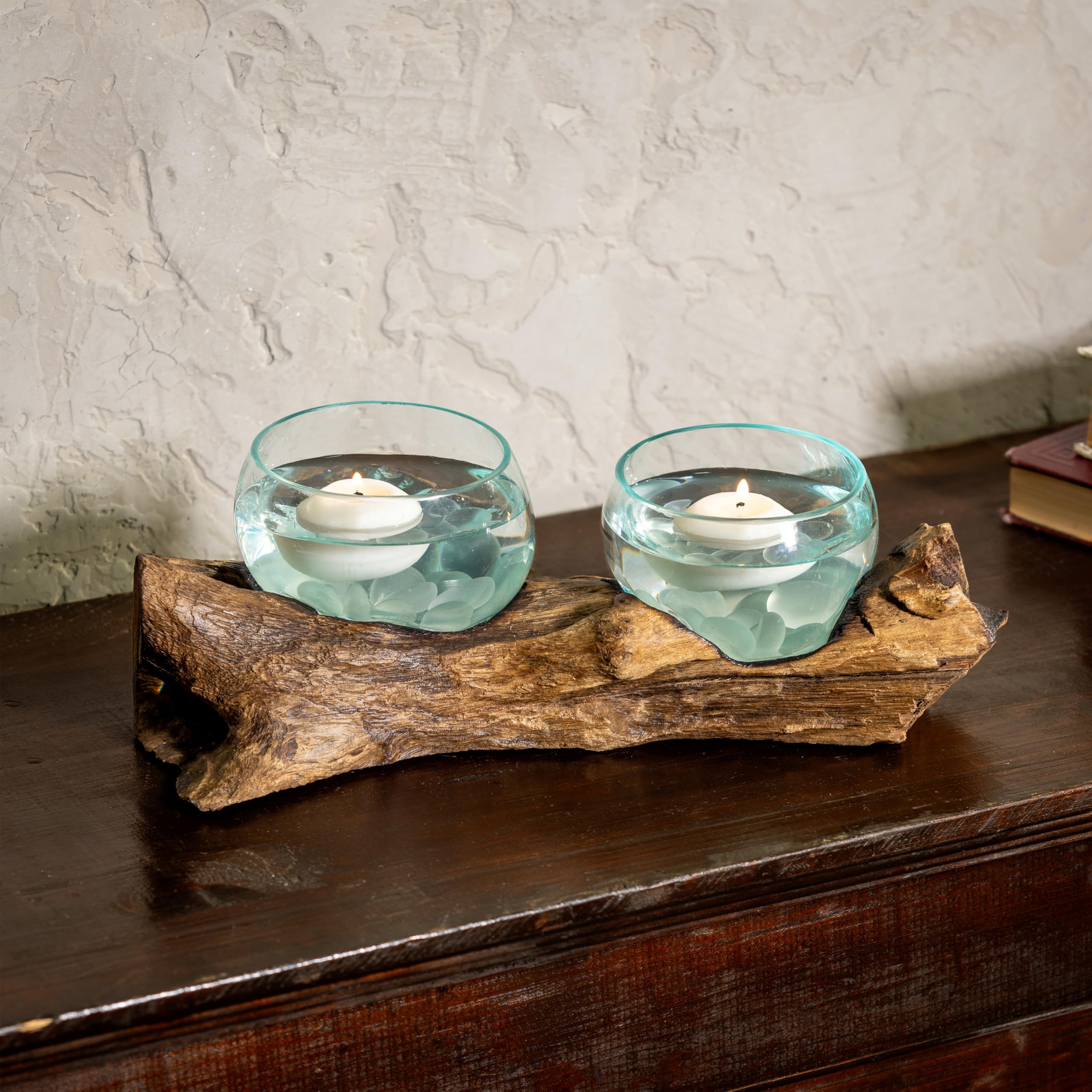 Cape Craftsmen terrariums filled with succulents demonstrating decorative plant display