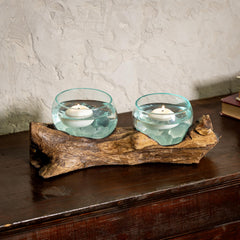 Cape Craftsmen terrariums filled with succulents demonstrating decorative plant display