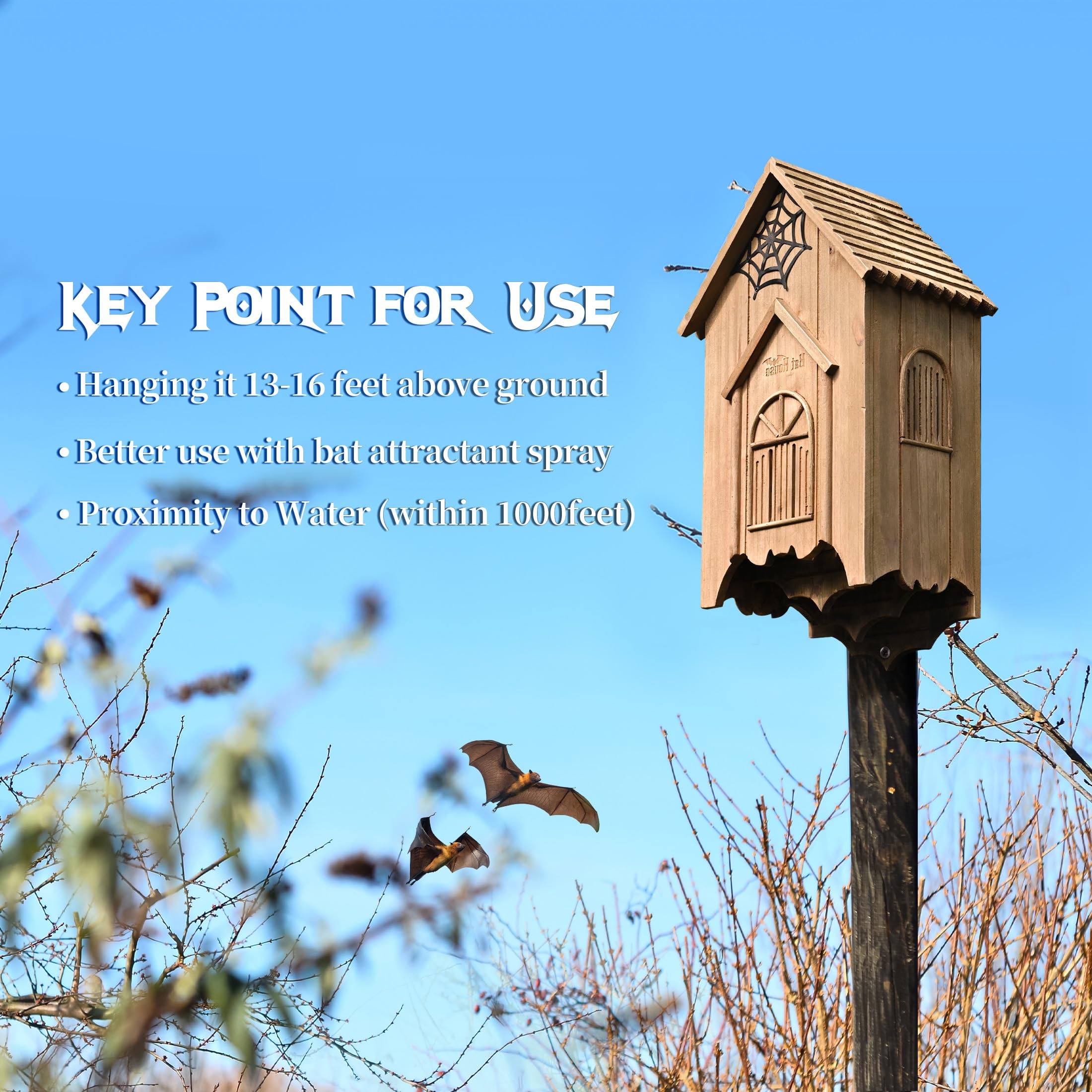 Capruzad bat house installed on tree showing placement idea benefit: attracts local bats safely