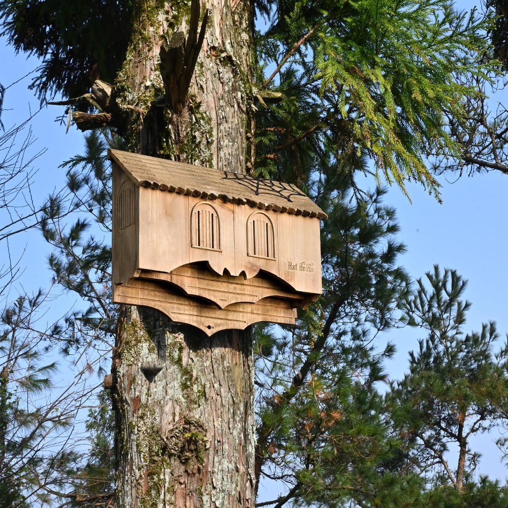 Capruzad interior chambers view showing layered roosting spaces and colony capacity