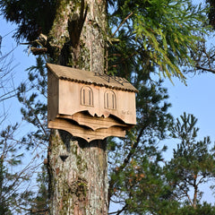 Capruzad interior chambers view showing layered roosting spaces and colony capacity