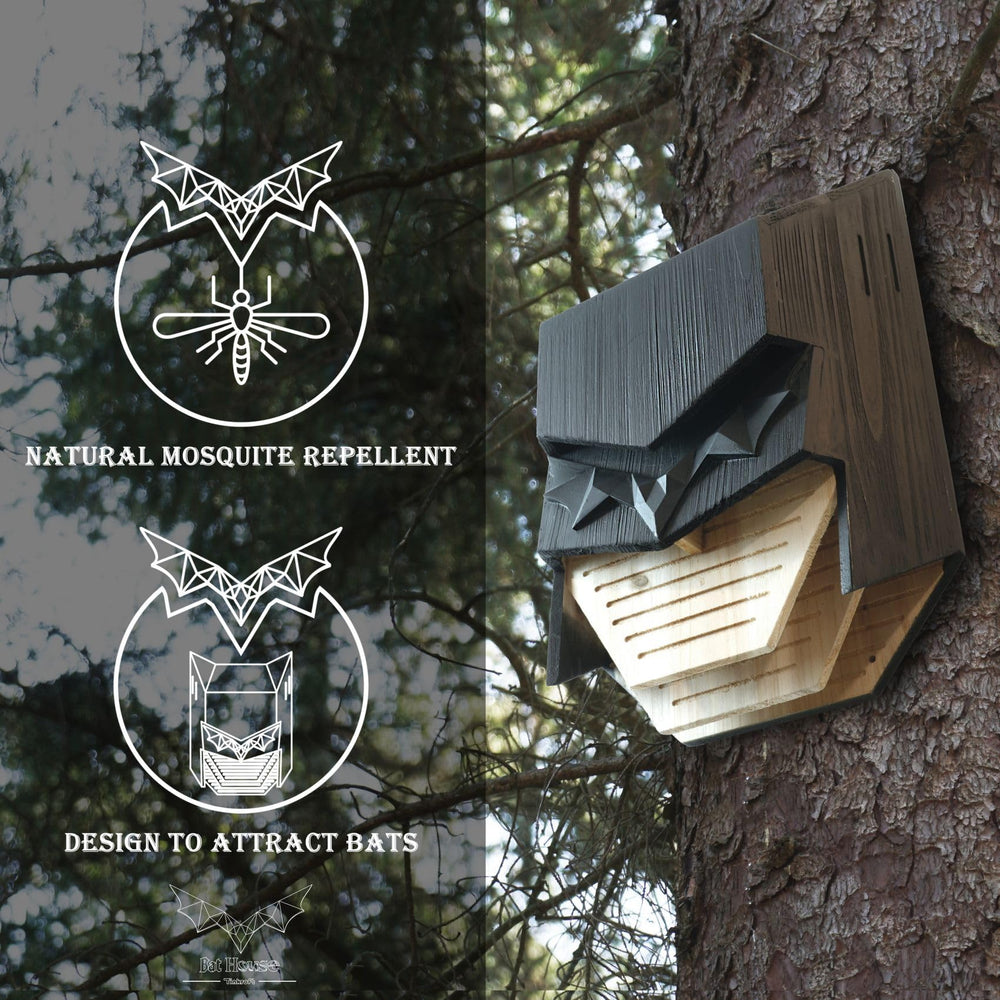 Capruzad interior three chambers open detail illustrating spacious roosting benefit