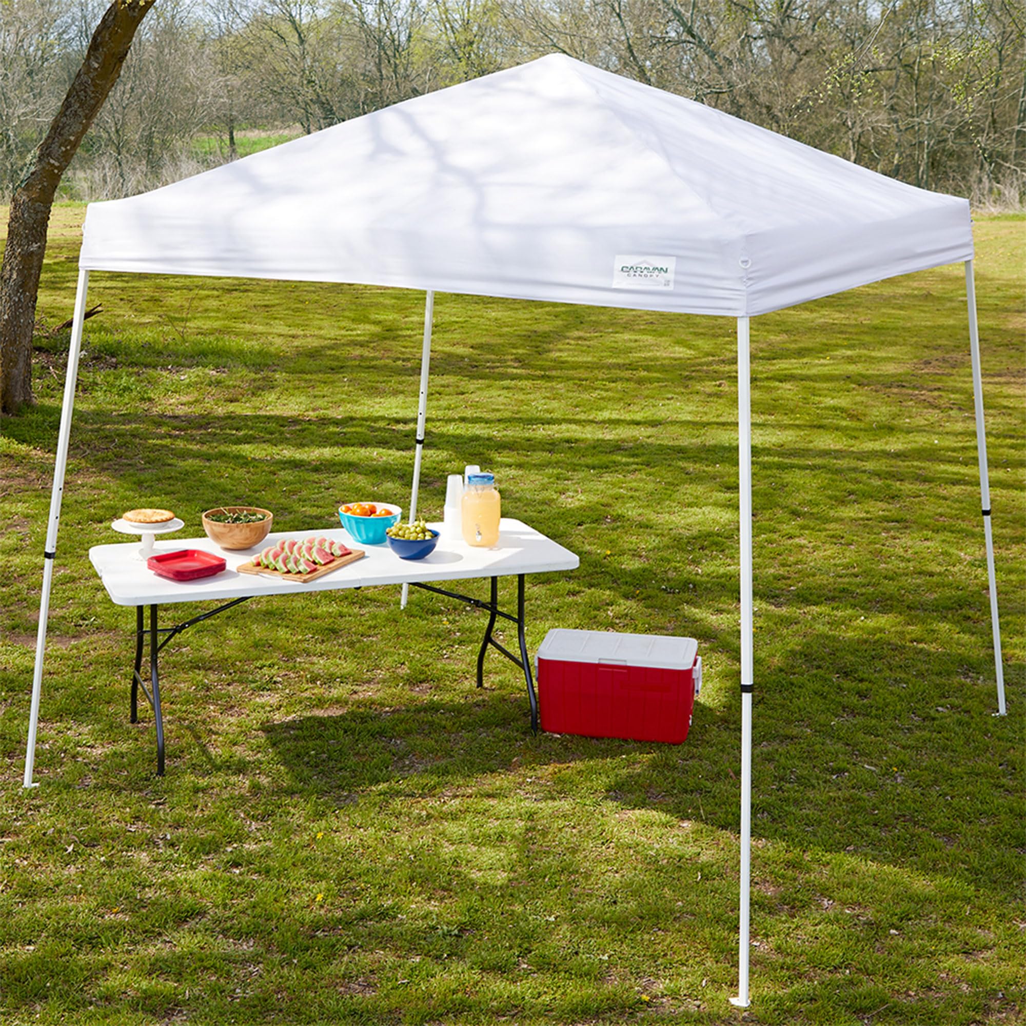 Caravan wheeled bag carrying frame for easy transport benefit