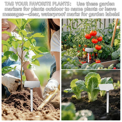 careforge stake inserted in pot, stable identification above soil