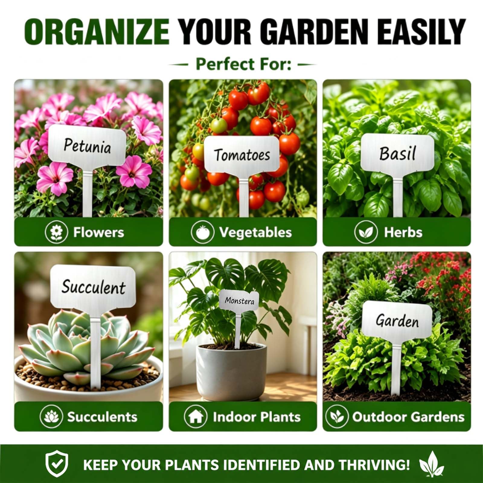 careforge stakes placed on patio with potted plants, tidy plant organization