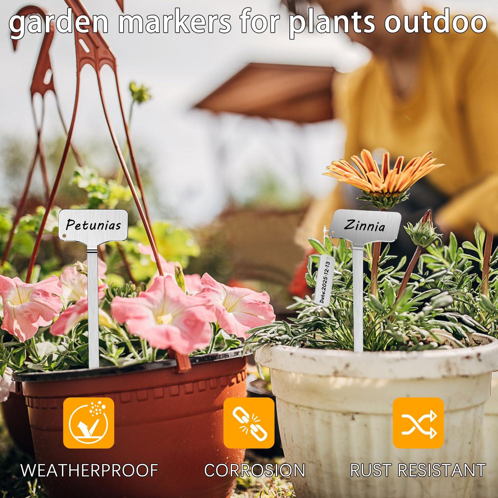 careforge markers inserted in pots demonstrating stable, upright staking benefit